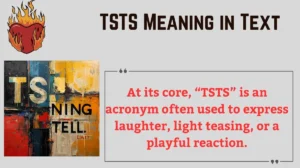 TSTS Meaning in Text
