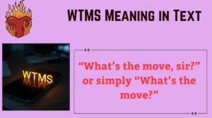 Read more about the article WTMS Meaning in Text 💬: Complete Guide to Texting Abbreviations in 2025