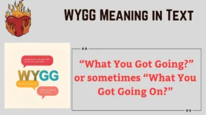 Read more about the article WYGG Meaning in Text 📱: What It Means, How to Use It, and Context Explained