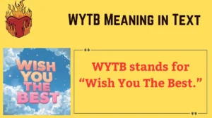 Read more about the article 🤔 WYTB Meaning in Text: What It Really Means and How to Use It
