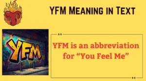 Read more about the article 💬 YFM Meaning in Text — What “You Feel Me” Really Means and How to Use It Naturally