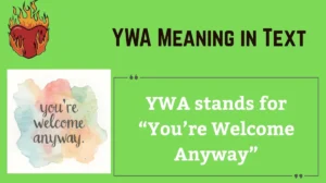 YWA Meaning in Text