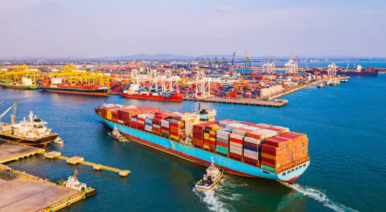 Import-Export Business Ideas Inspired by Global Travel